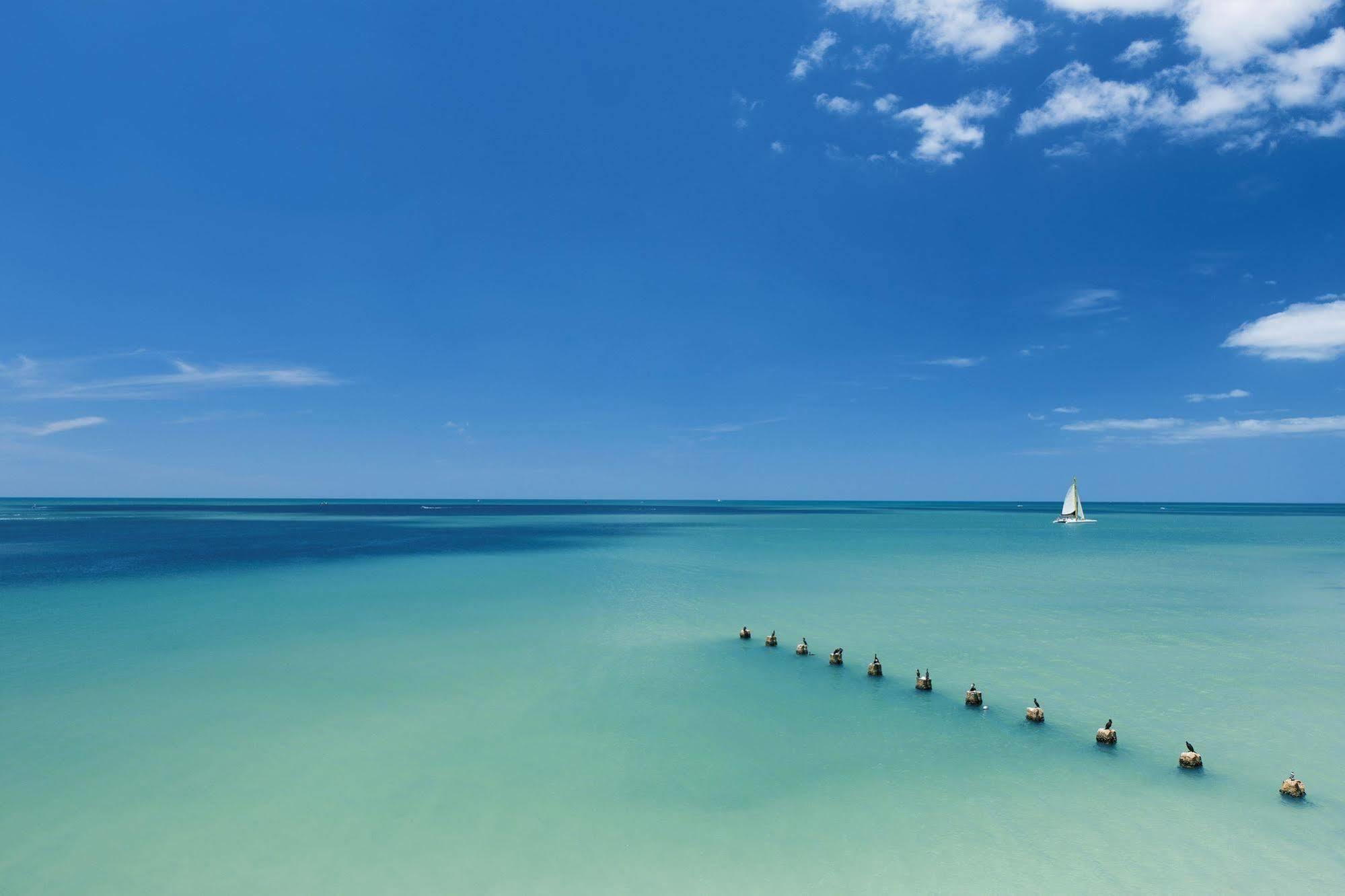 Opal Sands Clearwater Beach Exterior foto